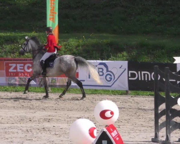 Reitturnier Zeltweg-Farrach 2022