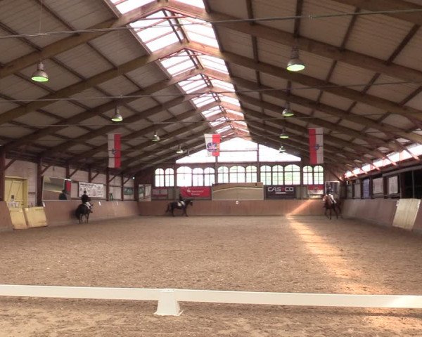 Reitturnier Elisenau 2021