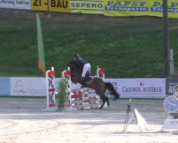 Reitturnier Zeltweg-Farrach 2022