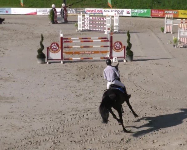Reitturnier Zeltweg-Farrach 2022