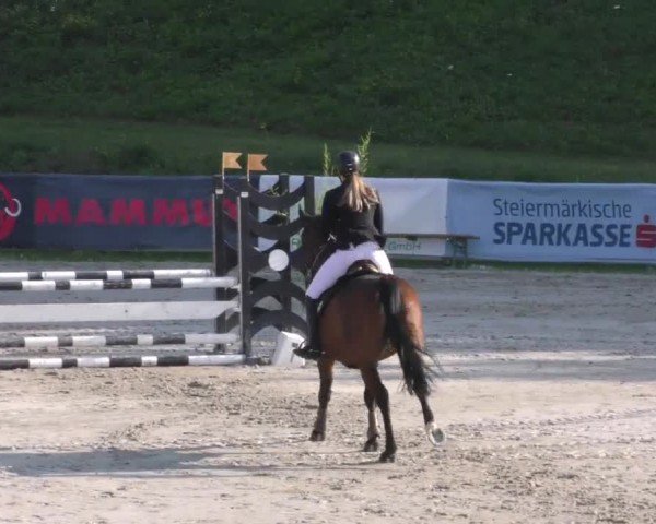 Reitturnier Zeltweg-Farrach 2022