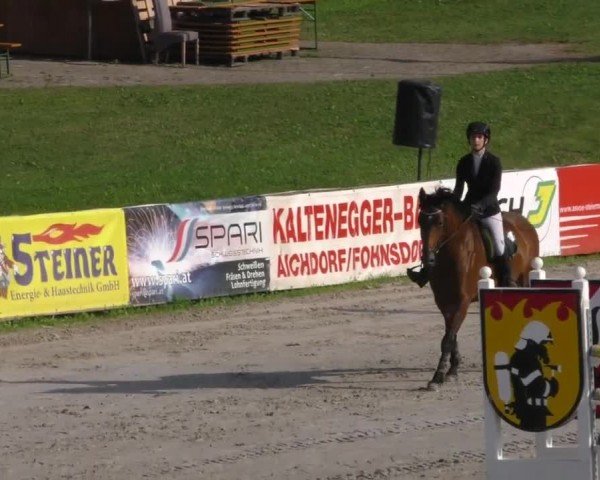 Reitturnier Zeltweg-Farrach 2022