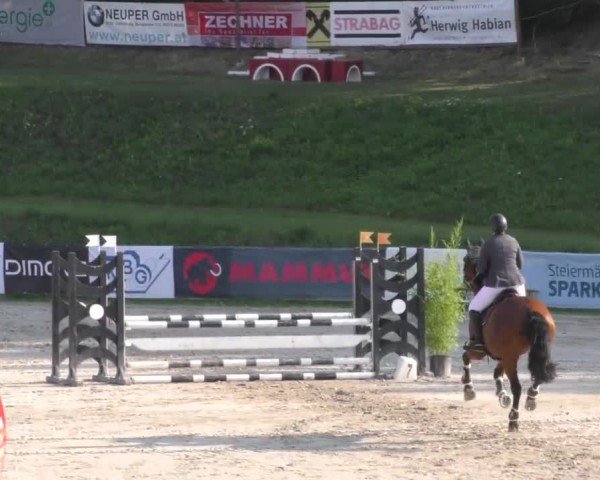 Reitturnier Zeltweg-Farrach 2022