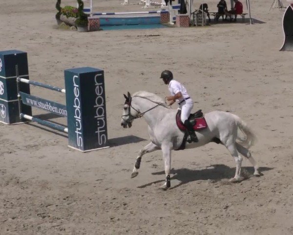 Reitturnier Zeltweg-Farrach 2022