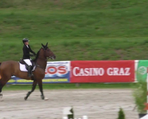 Reitturnier Zeltweg-Farrach 2022