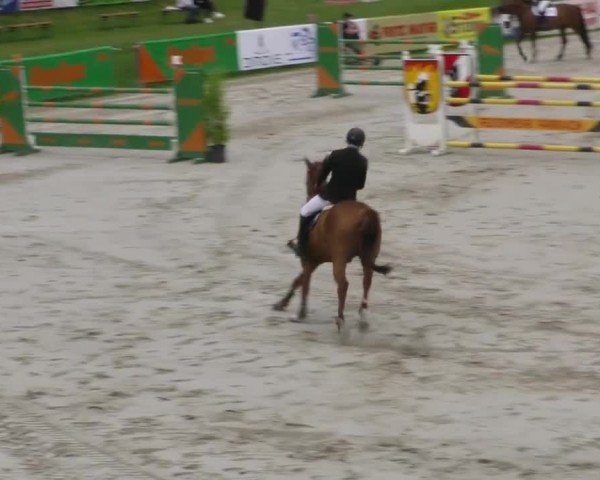 Reitturnier Zeltweg-Farrach 2022