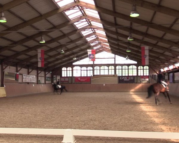 Reitturnier Elisenau 2021