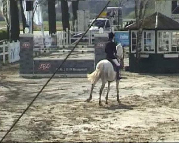 Reitturnier Werne-Lenklar 2012