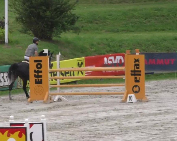 Reitturnier Zeltweg-Farrach 2022