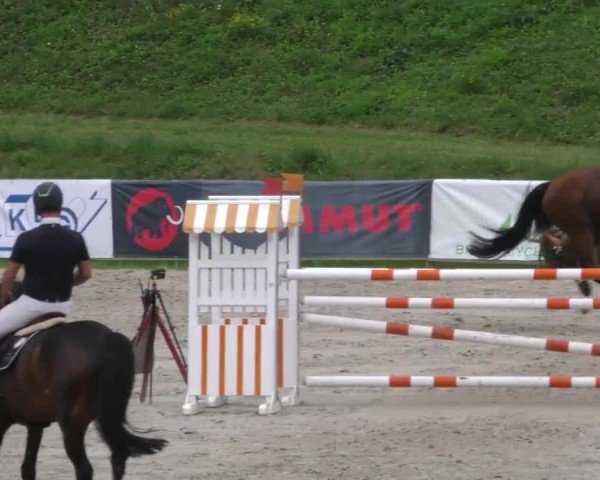 Reitturnier Zeltweg-Farrach 2022