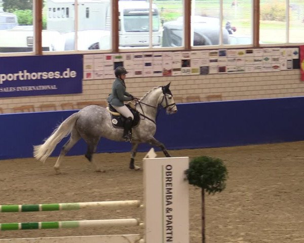 Euregio Springturnier Isterberg 2021