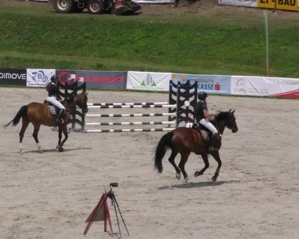 Reitturnier Zeltweg-Farrach 2022