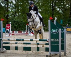 dressage horse Tudal Fandango (Pura Raza Espanola (PRE), 2007, from Lancero XX)