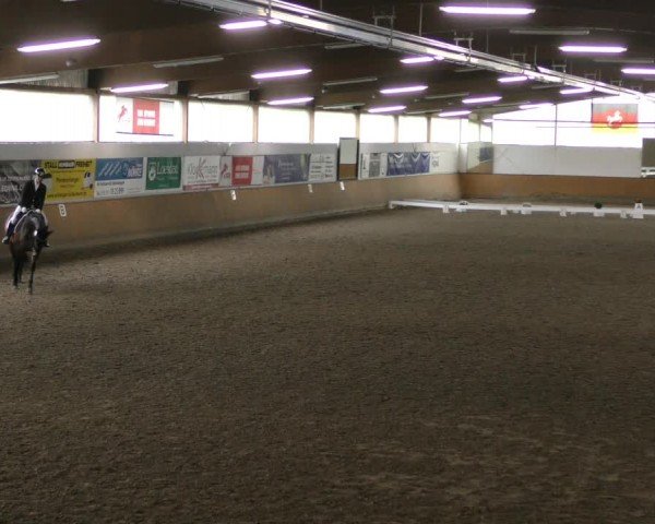 Reitturnier Hildesheim-Steuerwald 2024