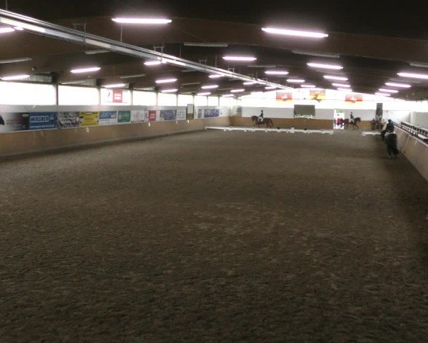 Reitturnier Hildesheim-Steuerwald 2024