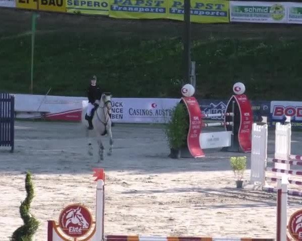 Reitturnier Zeltweg-Farrach 2022