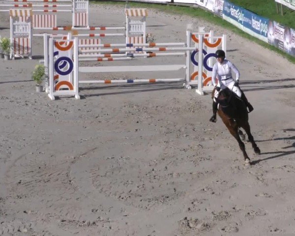 Reitturnier Zeltweg-Farrach 2022