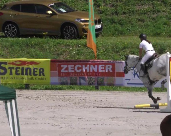 Reitturnier Zeltweg-Farrach 2022
