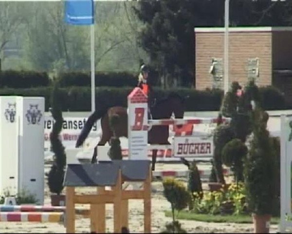 Reitturnier Werne-Lenklar 2012