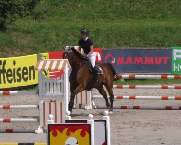 Reitturnier Zeltweg-Farrach 2022