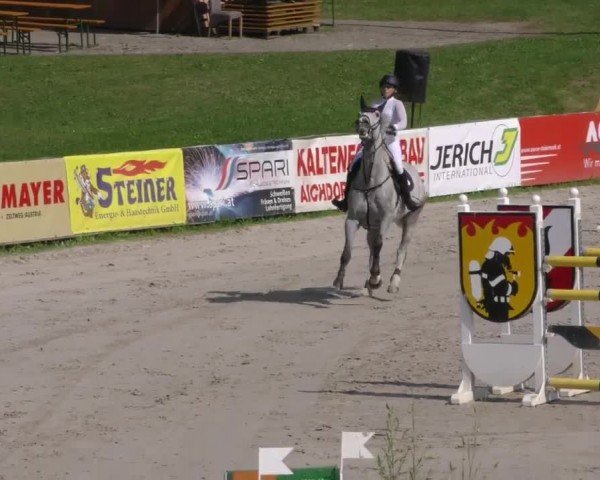 Reitturnier Zeltweg-Farrach 2022