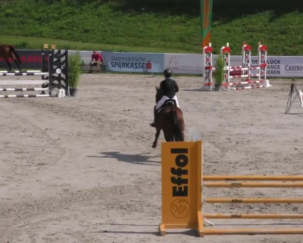 Reitturnier Zeltweg-Farrach 2022