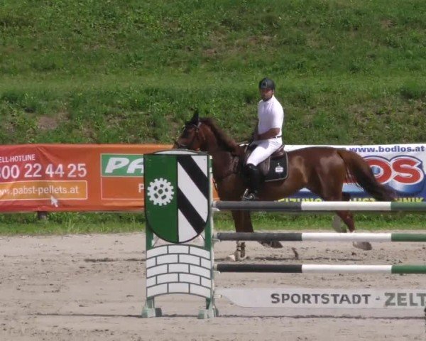 Reitturnier Zeltweg-Farrach 2022