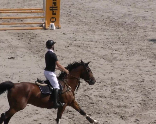 Reitturnier Zeltweg-Farrach 2022