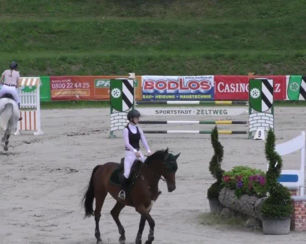 Reitturnier Zeltweg-Farrach 2022