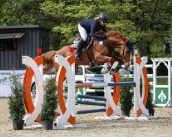 jumper Call Me Qantas (Westphalian, 2014, from Carrico)