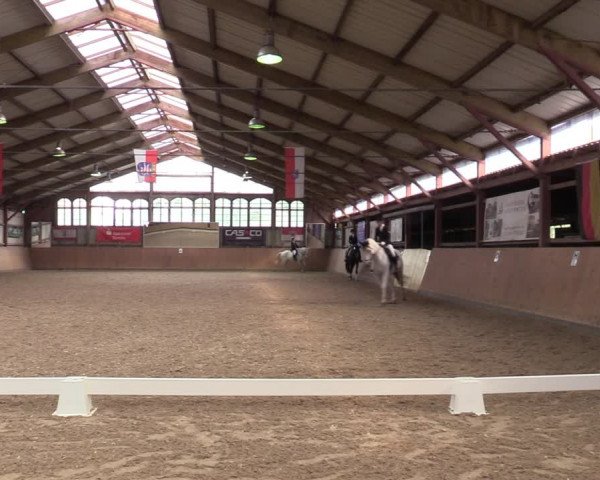 Reitturnier Elisenau 2021