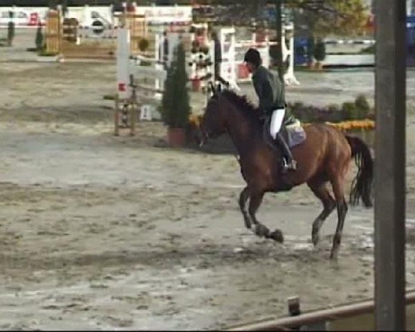 Reitturnier Werne-Lenklar 2012