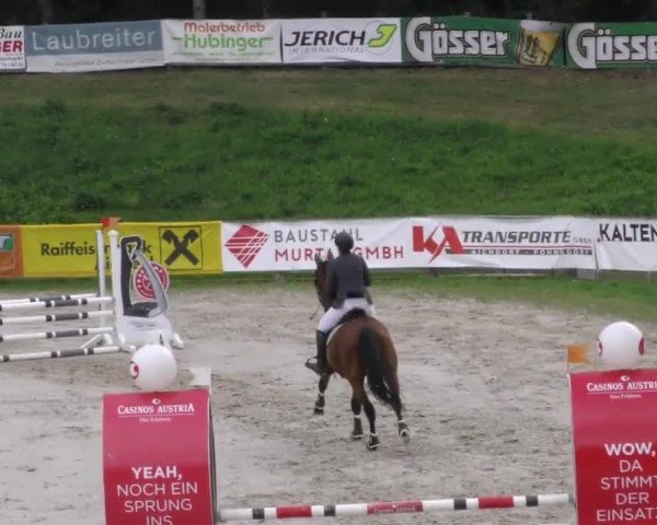 Reitturnier Zeltweg-Farrach 2022