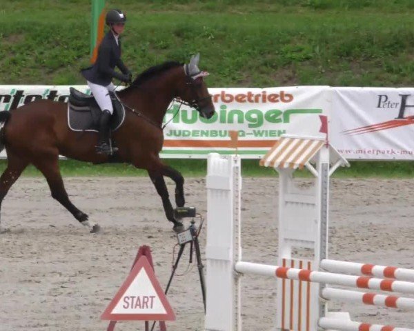 Reitturnier Zeltweg-Farrach 2022
