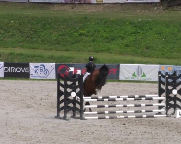 Reitturnier Zeltweg-Farrach 2022