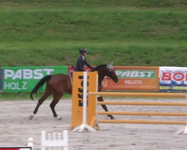 Reitturnier Zeltweg-Farrach 2022