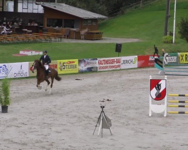 Reitturnier Zeltweg-Farrach 2022