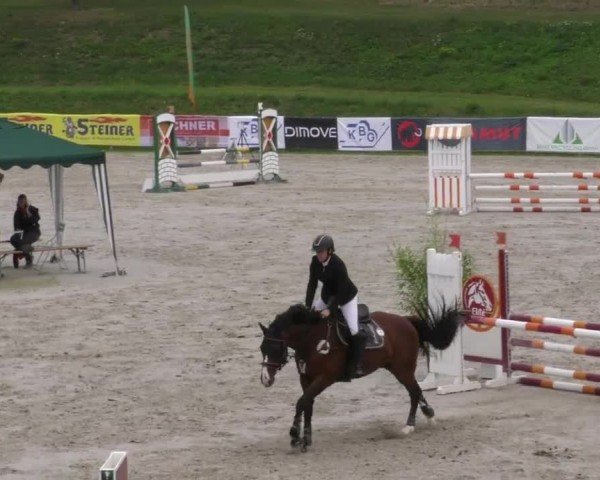 Reitturnier Zeltweg-Farrach 2022