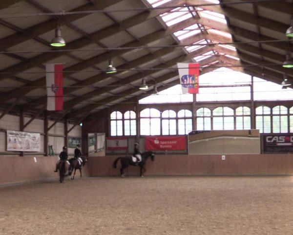 Reitturnier Elisenau 2021