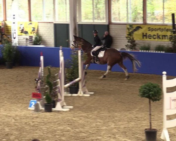 Euregio Springturnier Isterberg 2021