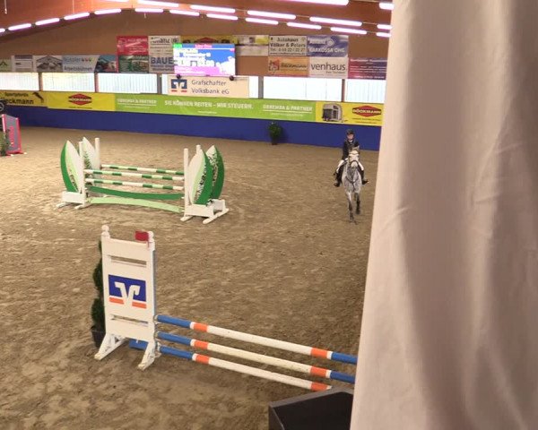 Euregio Springturnier Isterberg 2021