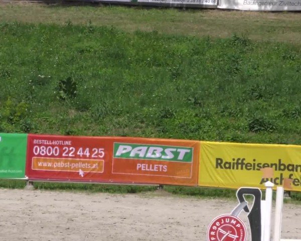 Reitturnier Zeltweg-Farrach 2022