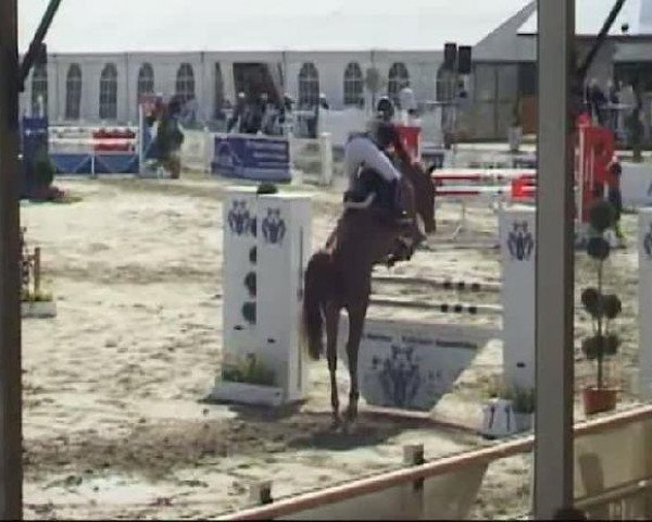 Reitturnier Werne-Lenklar 2012