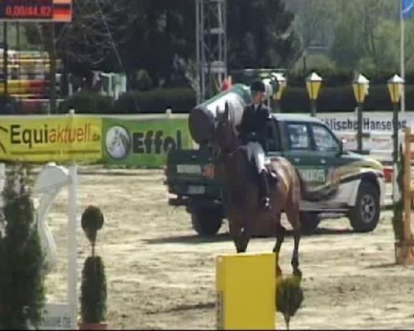 Werne-Lenklarer Reitertage vom 13.-15.+17.-22.04.2012 auf der Reitsportanlage Gripshöver