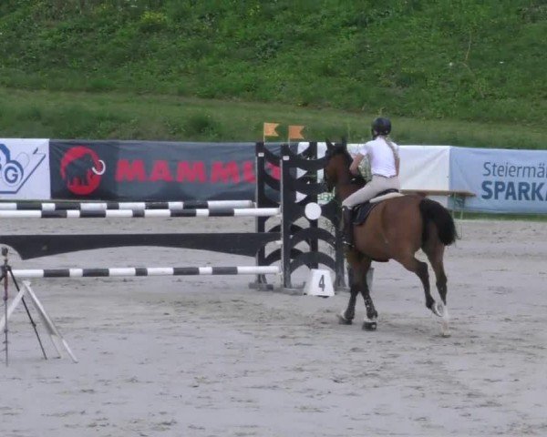 Reitturnier Zeltweg-Farrach 2022