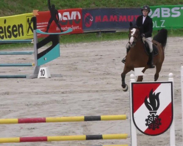 Reitturnier Zeltweg-Farrach 2022