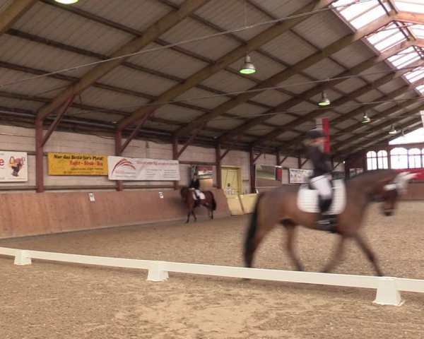 Reitturnier Elisenau 2021