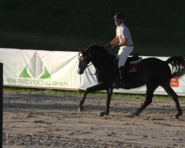 Reitturnier Zeltweg-Farrach 2022