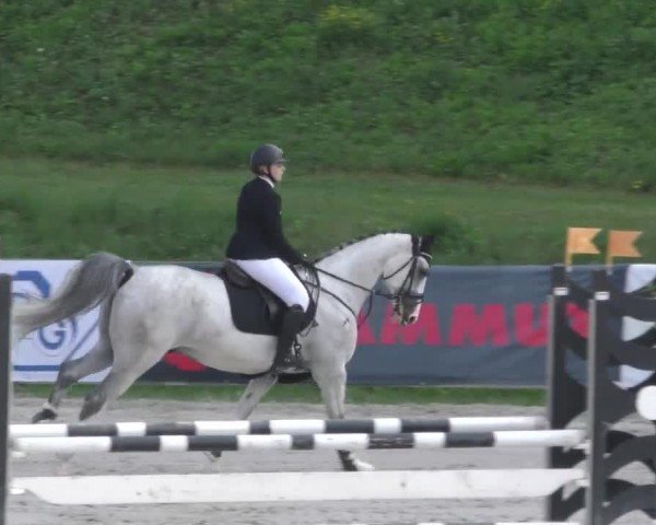 Reitturnier Zeltweg-Farrach 2022