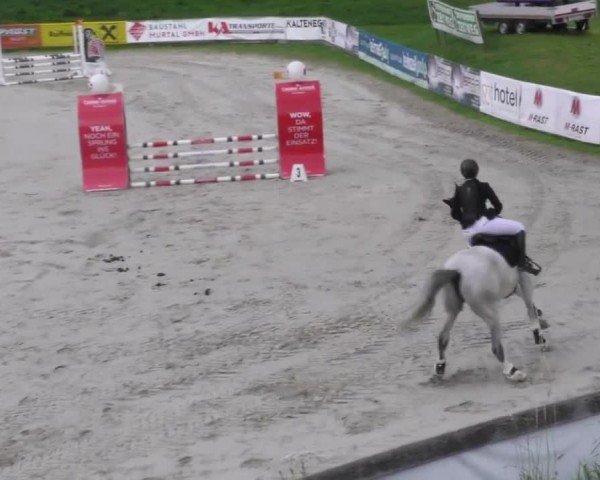 Reitturnier Zeltweg-Farrach 2022